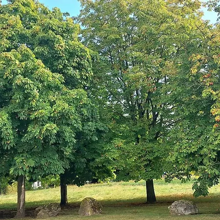 Loisirs Et Jeux Bethune-centre Бетюн